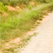 thumbnail2